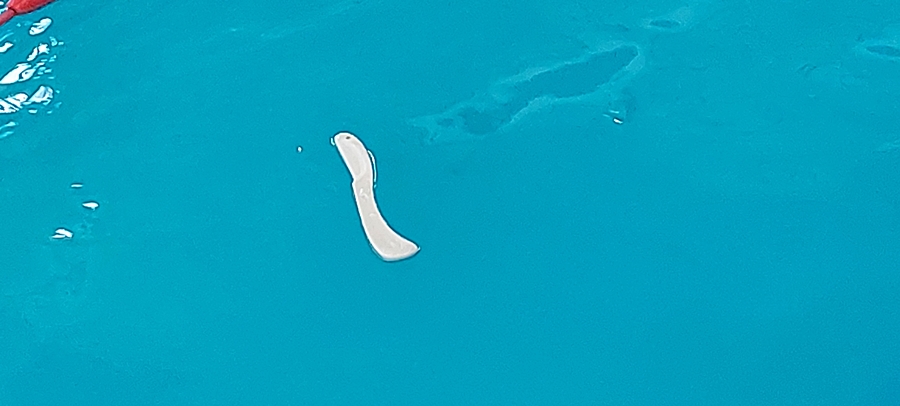 Hokej pod wodą Walenie 2023